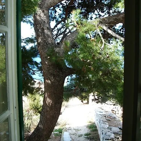Lighthouse Prisnjak *
